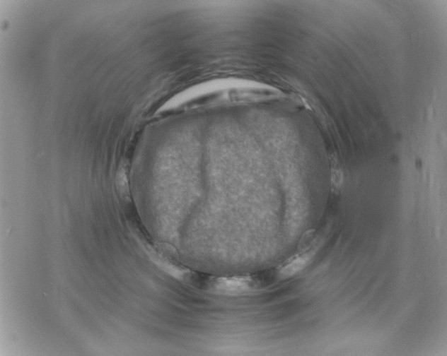 X0000075380573200609291554