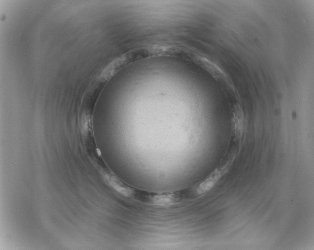 X0000075380574200609291554