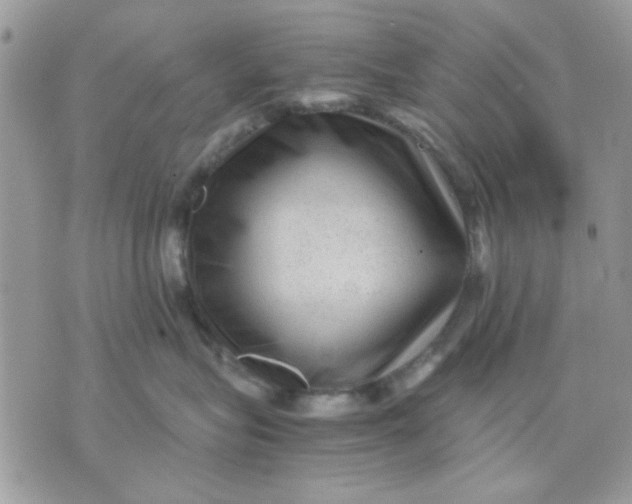 X0000075380575200609291554