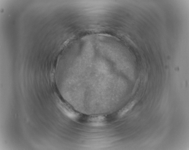 X0000075380576200609291554