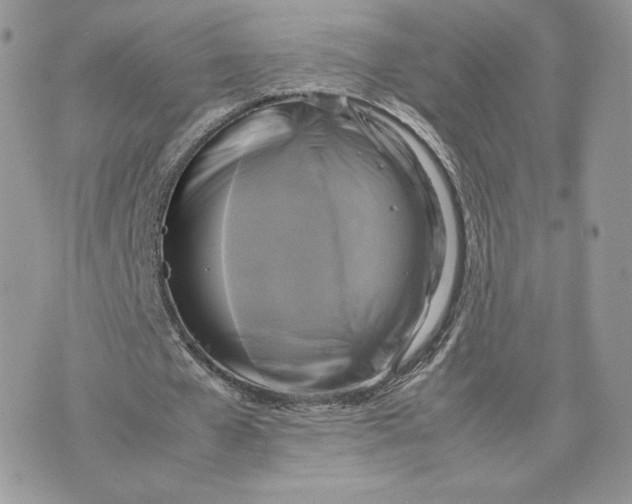 X0000075380577200609291553