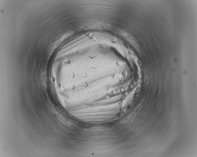 X0000075380578200609291553