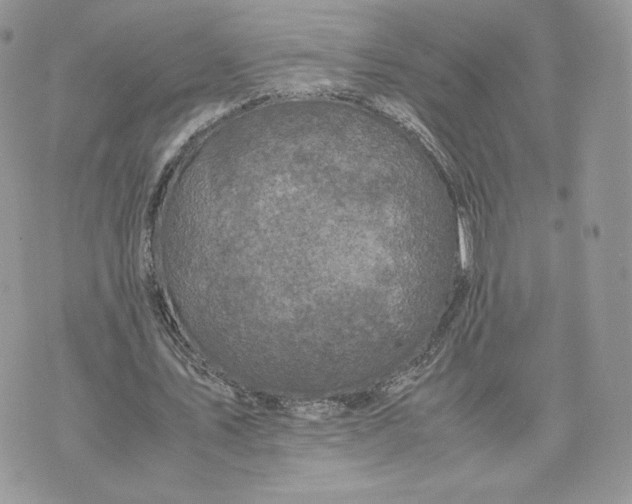 X0000075380579200609291553