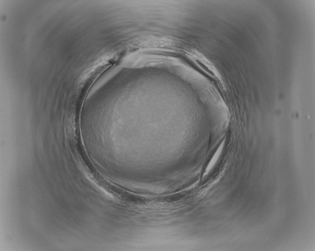 X0000075380581200609291553