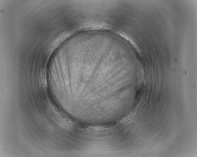 X0000075380582200609291553