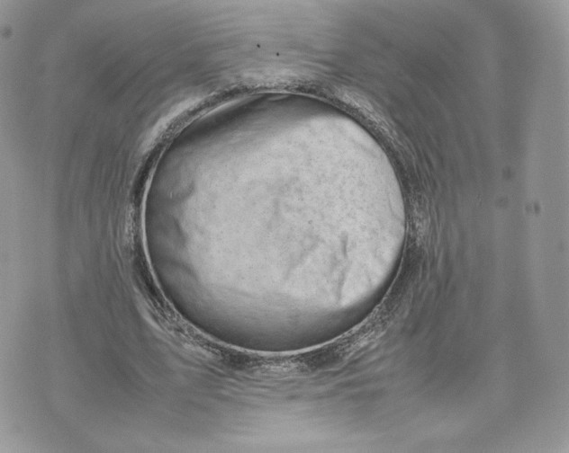 X0000075380583200609291553