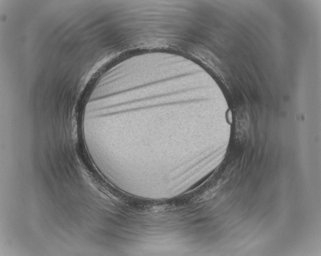 X0000075380584200609291553