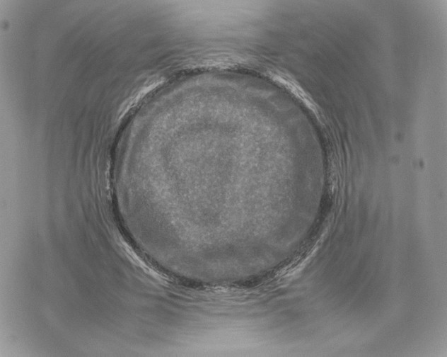 X0000075380585200609291553