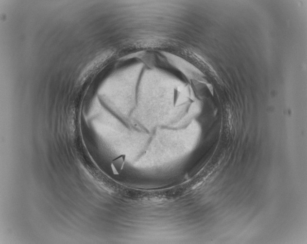 X0000075380586200609291553