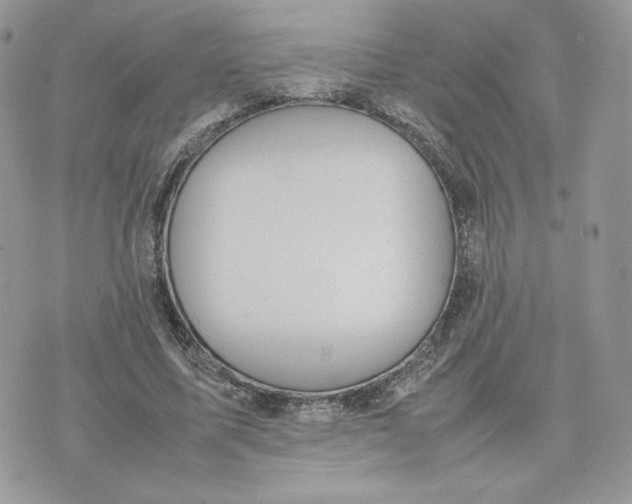 X0000075380587200609291553