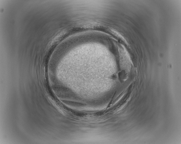 X0000075380589200609291553