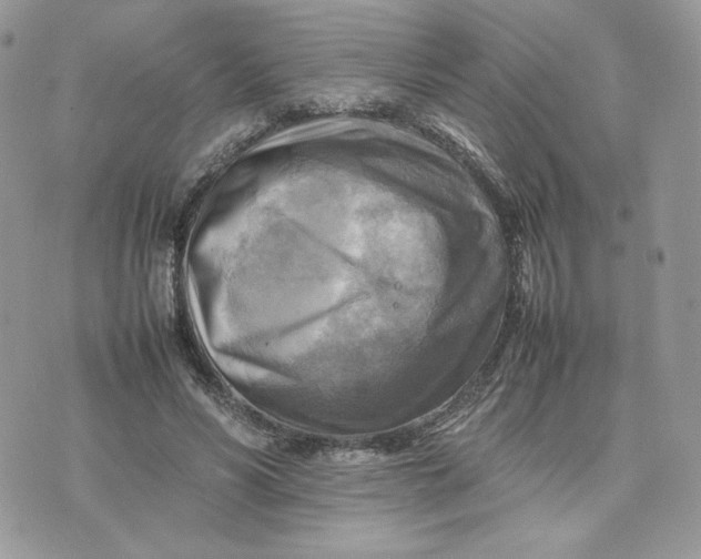 X0000075380590200609291553