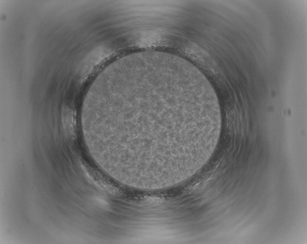 X0000075380592200609291553