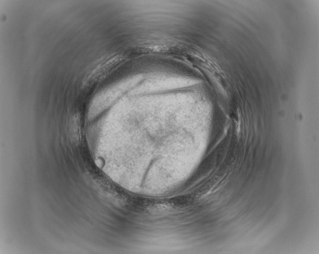 X0000075380594200609291553