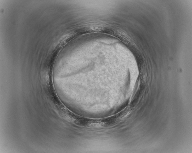 X0000075380595200609291553