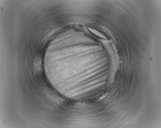 X0000075380596200609291553