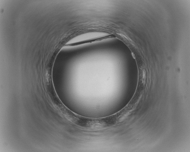 X0000075380597200609291553