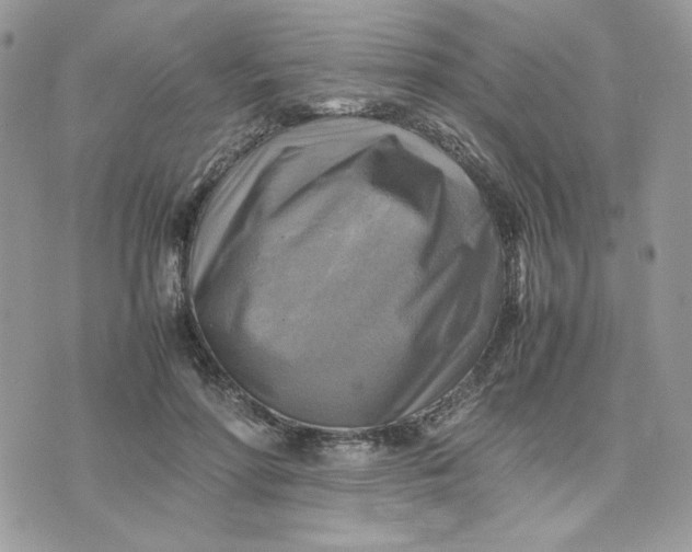 X0000075380598200609291553