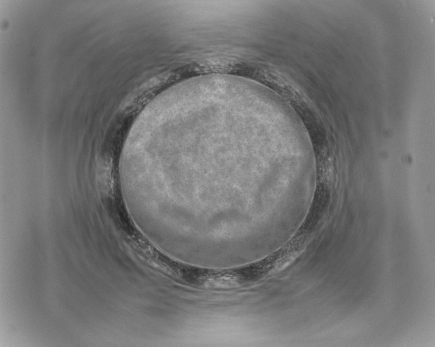 X0000075380599200609291553