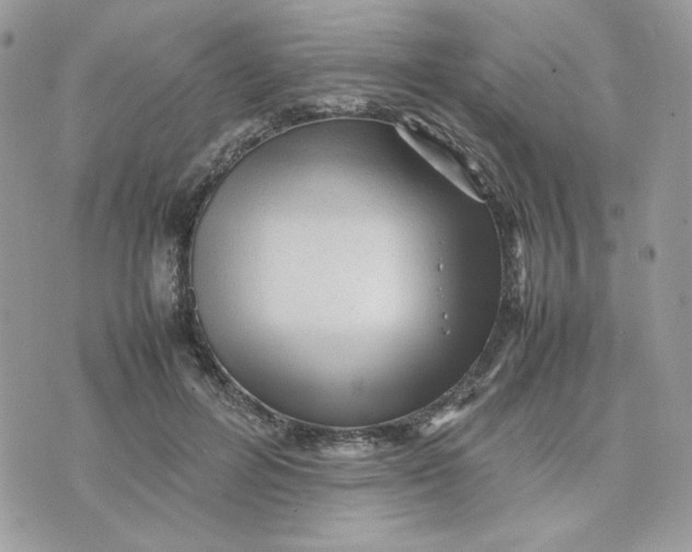 X0000075380600200609291553