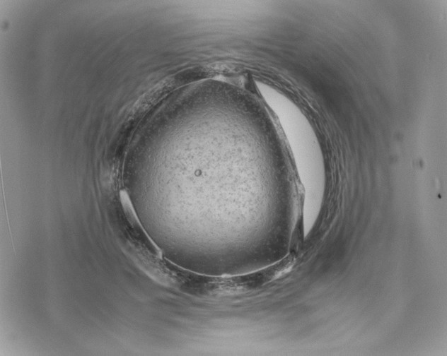 X0000075380601200609291553