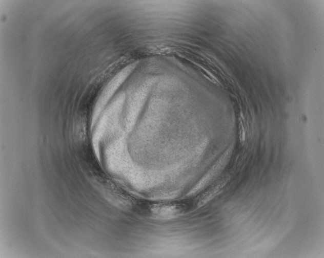 X0000075380602200609291553