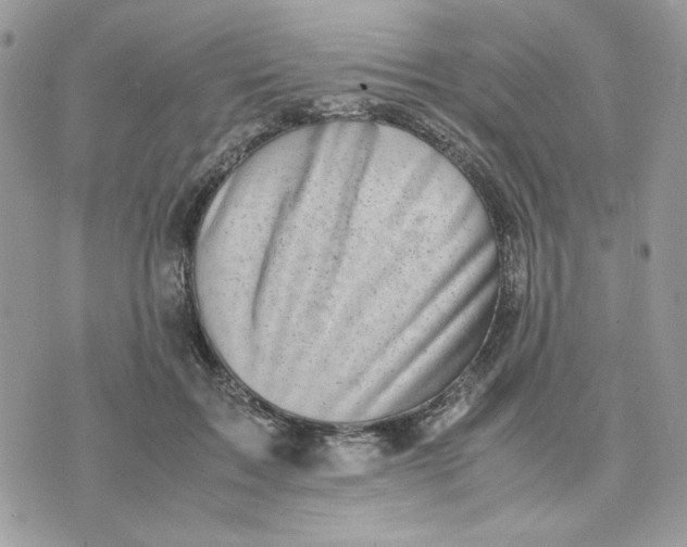 X0000075380603200609291553