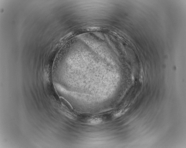 X0000075380604200609291553