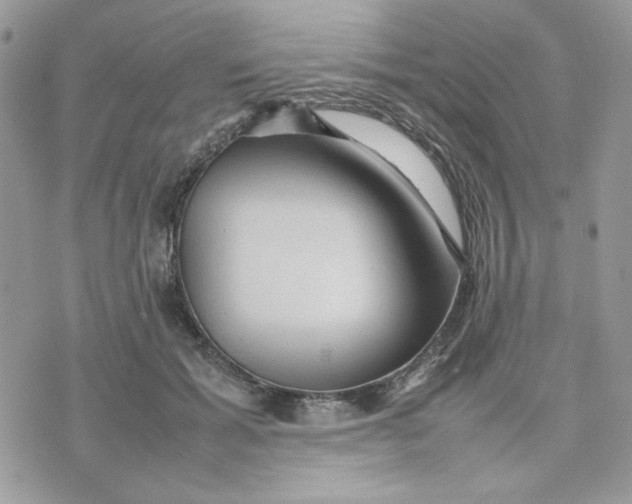 X0000075380605200609291553