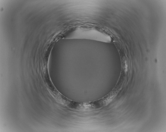 X0000075380607200609291553