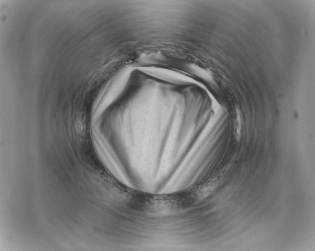 X0000075380608200609291553