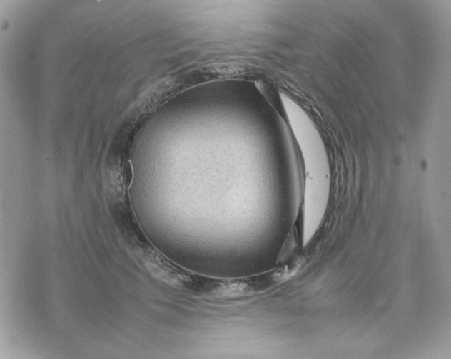 X0000075380609200609291553