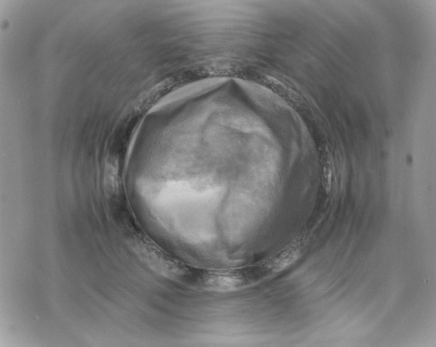 X0000075380610200609291553