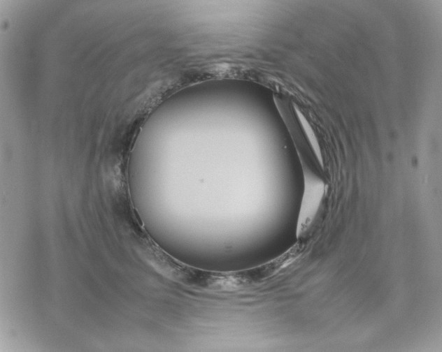 X0000075380611200609291553