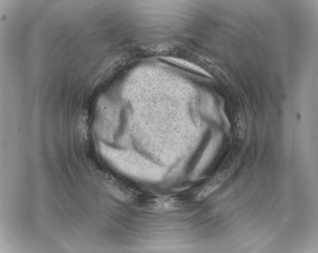 X0000075380612200609291553