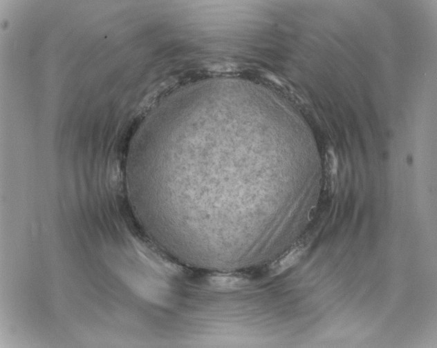 X0000075380614200609291552