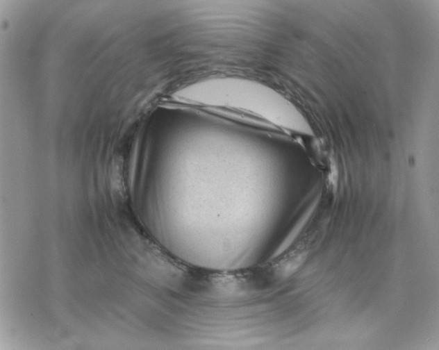 X0000075380616200609291552