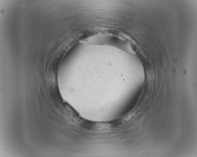 X0000075380617200609291552