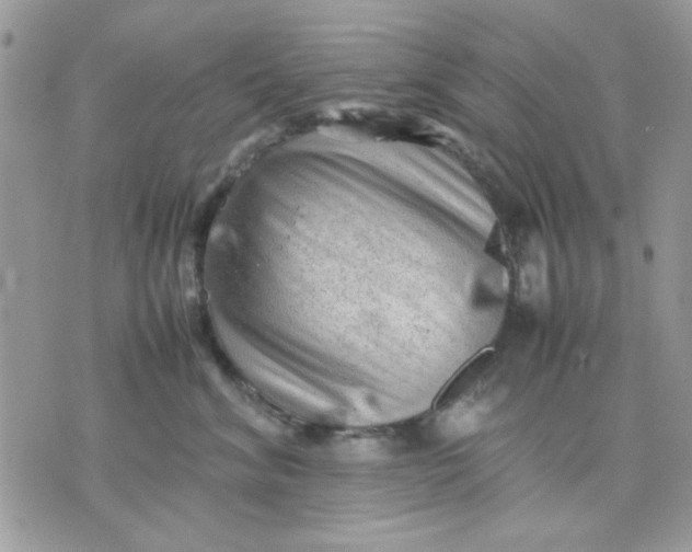 X0000075380620200609291552