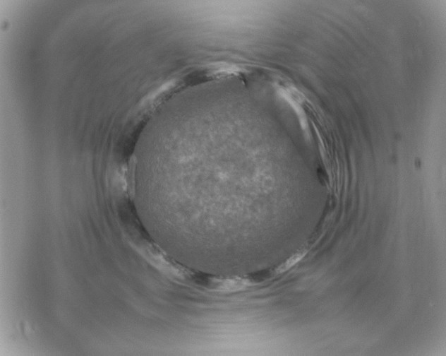 X0000075380621200609291552