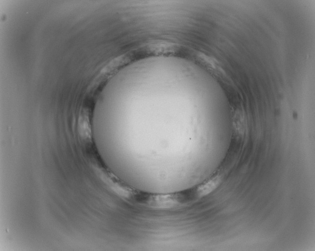 X0000075380622200609291552