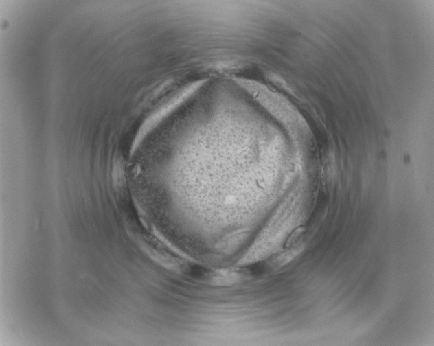 X0000075380623200609291552