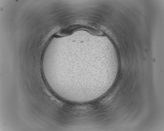 X0000075380625200609291552