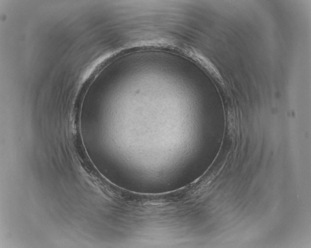 X0000075380628200609291552