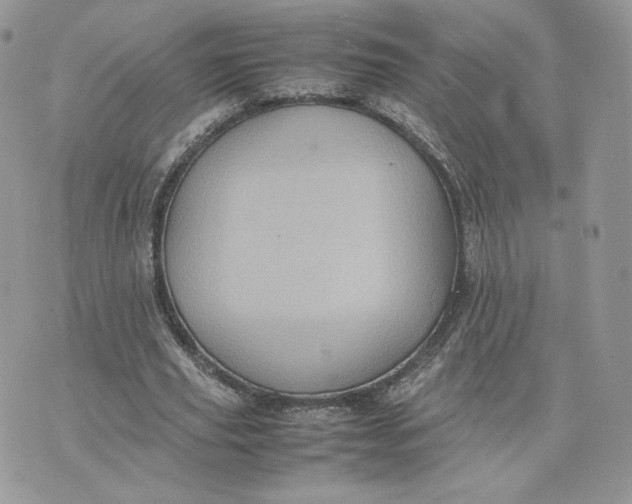 X0000075380629200609291552