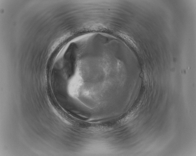 X0000075380630200609291552