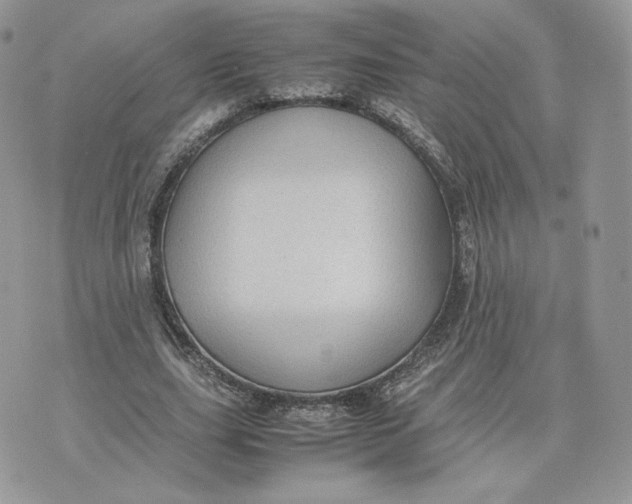 X0000075380631200609291552