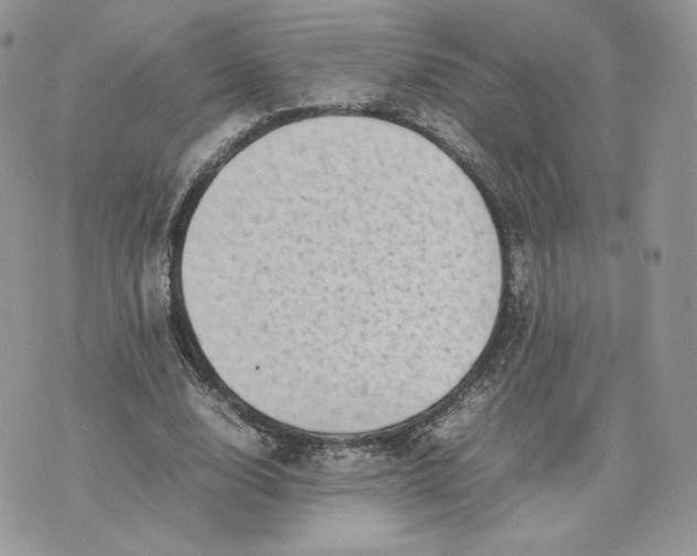 X0000075380632200609291552