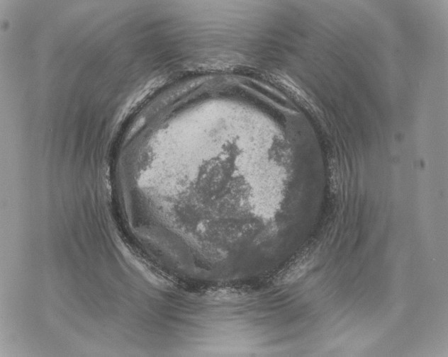 X0000075380634200609291552