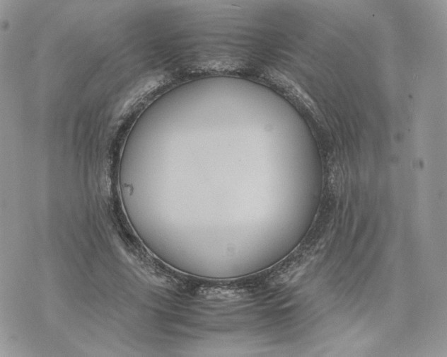 X0000075380635200609291552